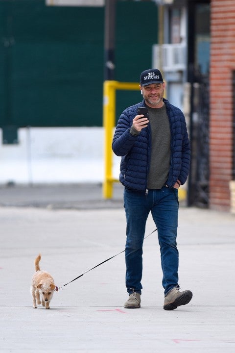 Liev Schreiber walks his dog in nyc on st patrick's day