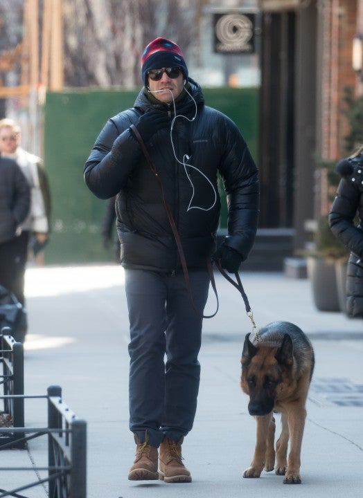 Jake Gyllenhaal walks his dog in nyc